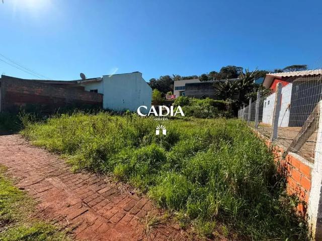 Terreno venda em Região Geográfica Imediata de Chapecó, Chapecó