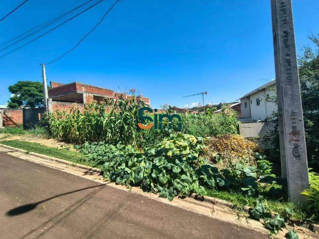 Terreno venda em Região Geográfica Imediata de Chapecó, Chapecó