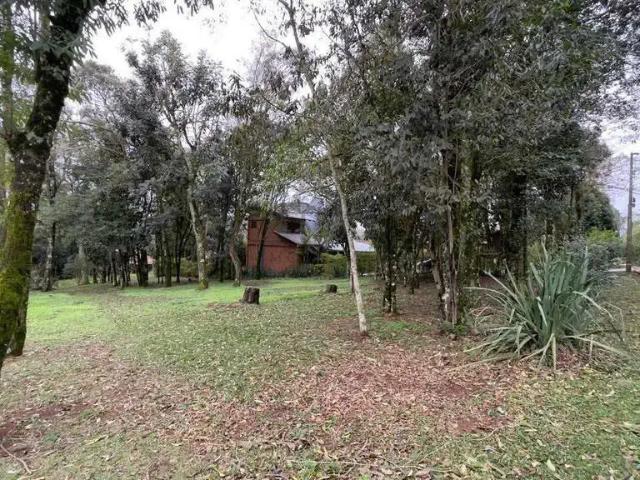 Terreno venda em Região Geográfica Imediata de Chapecó, Chapecó