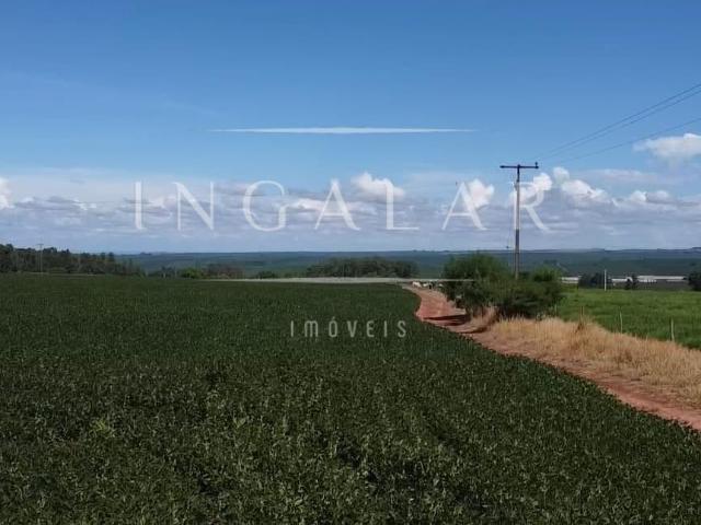 Terreno venda em Região Geográfica Imediata de Cianorte, Cianorte