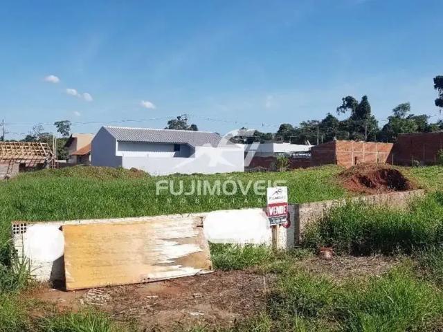 Terreno venda em Região Geográfica Imediata de Cianorte, Cianorte