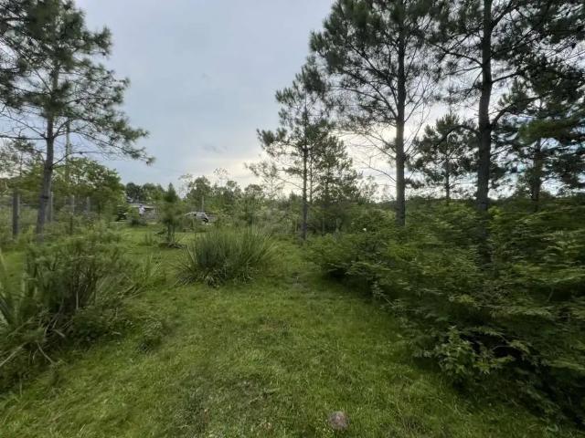 Terreno venda em Região Geográfica Imediata de Tramandaí - Osório, Aglomeração Urbana do Litoral Norte