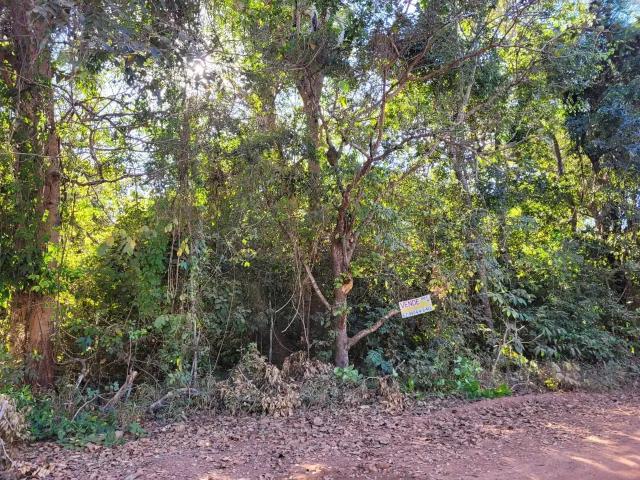 Sítio e chácara venda em Região Geográfica Imediata de Água Boa, Cocalinho