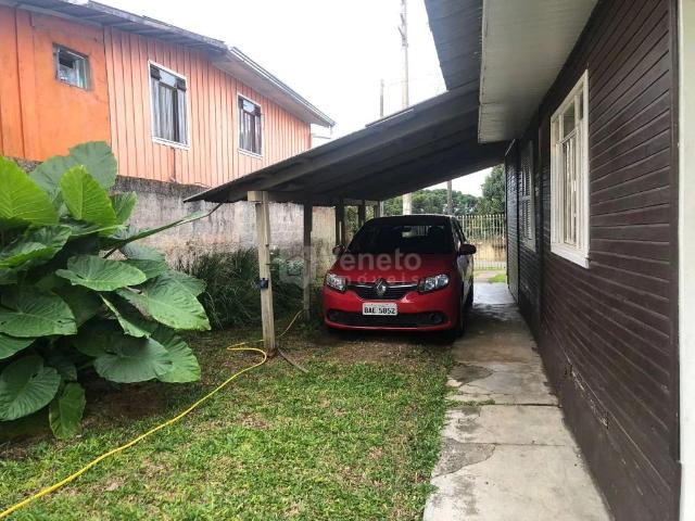 Terreno venda em Região Geográfica Imediata de Curitiba, Região Metropolitana de Curitiba