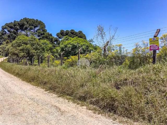 Terreno venda em Região Geográfica Imediata de Curitiba, Região Metropolitana de Curitiba