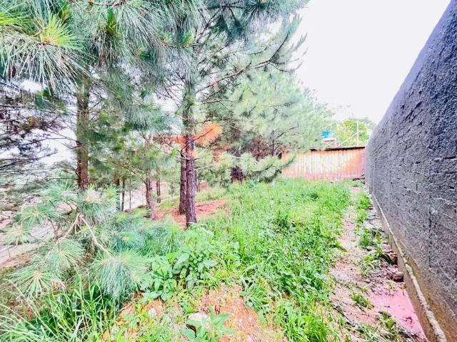 Terreno venda em Região Geográfica Imediata de Curitiba, Região Metropolitana de Curitiba