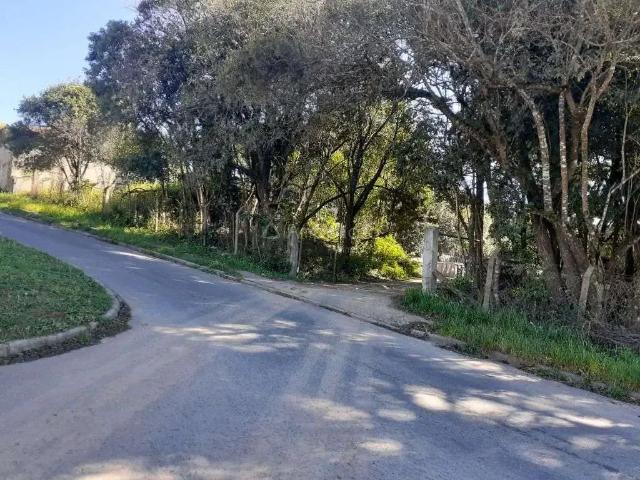 Terreno venda em Região Geográfica Imediata de Curitiba, Região Metropolitana de Curitiba