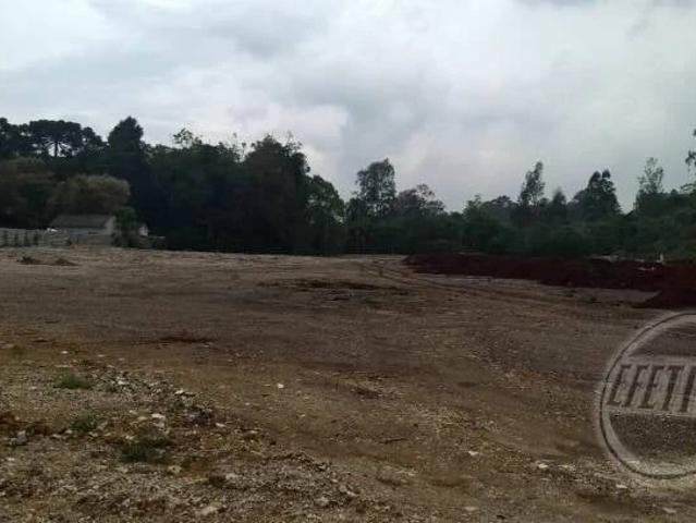 Terreno venda em Região Geográfica Imediata de Curitiba, Região Metropolitana de Curitiba