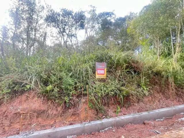 Terreno venda em Região Geográfica Imediata de Curitiba, Região Metropolitana de Curitiba