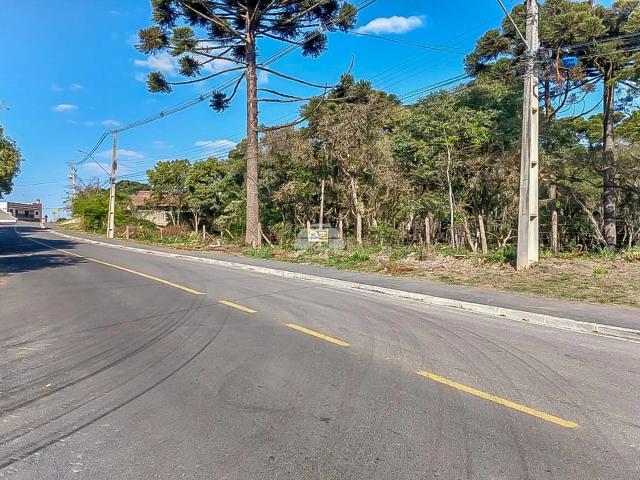 Terreno venda em Região Geográfica Imediata de Curitiba, Região Metropolitana de Curitiba