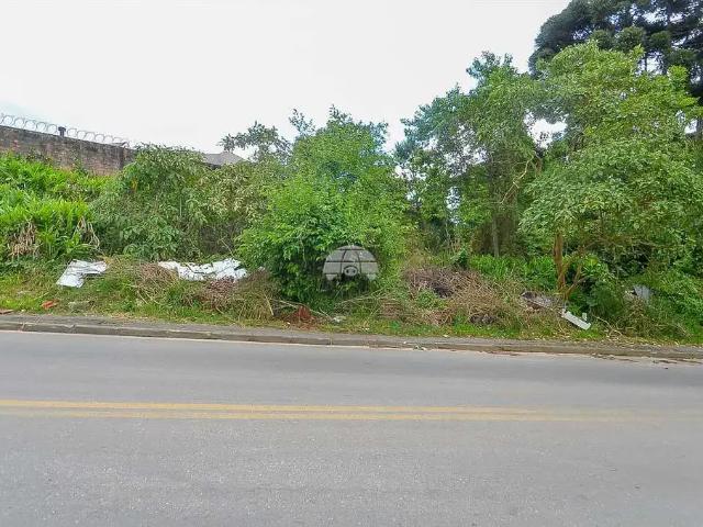 Terreno venda em Região Geográfica Imediata de Curitiba, Região Metropolitana de Curitiba