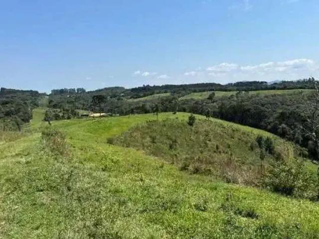 Terreno venda em Região Geográfica Imediata de Curitiba, Região Metropolitana de Curitiba