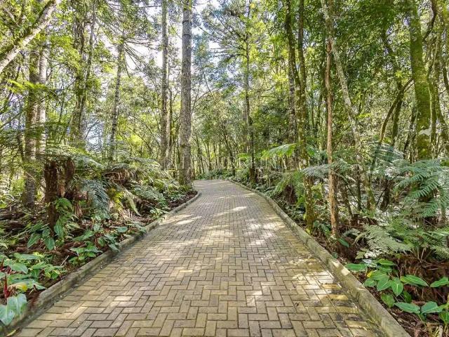 Terreno venda em Região Geográfica Imediata de Curitiba, Região Metropolitana de Curitiba