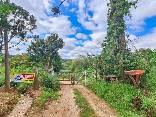 Terreno venda em Região Geográfica Imediata de Curitiba, Região Metropolitana de Curitiba