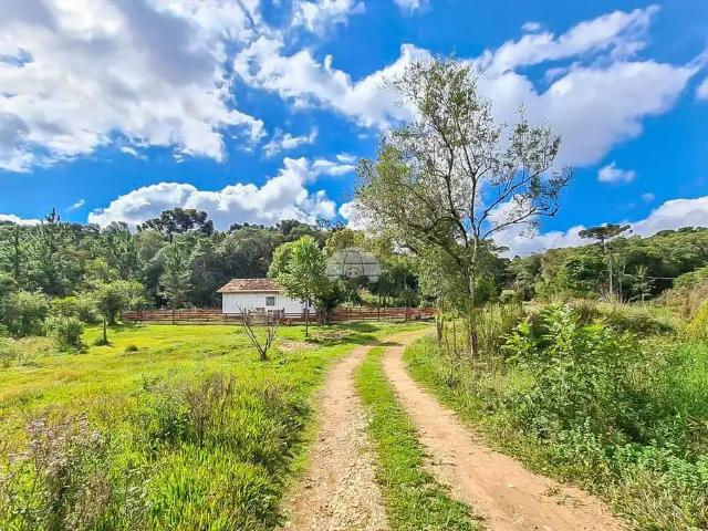 Terreno venda em Região Geográfica Imediata de Curitiba, Região Metropolitana de Curitiba