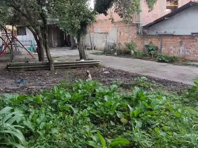 Terreno venda em Região Geográfica Imediata de Curitiba, Região Metropolitana de Curitiba