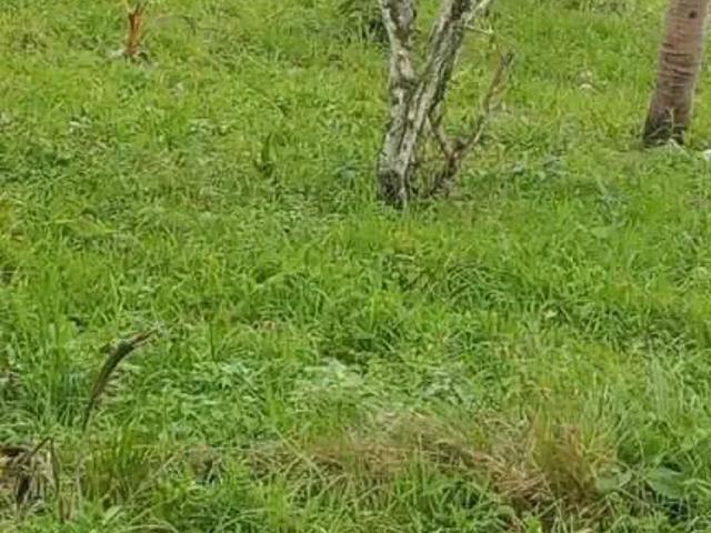 Terreno venda em Região Geográfica Imediata de Feira de Santana, Região Metropolitana de Feira de Santana