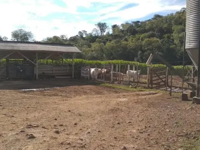 Terreno venda em Região Geográfica Imediata de Concórdia, Concórdia