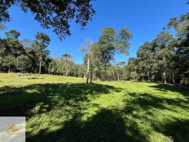 Terreno venda em Região Geográfica Imediata de Concórdia, Concórdia