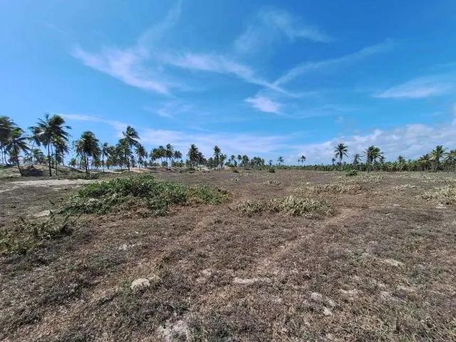 Terreno venda em São Francisco do Conde
