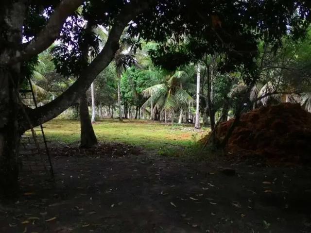 Terreno venda em Região Geográfica Imediata de Vitória da Conquista, Teodoro Sampaio