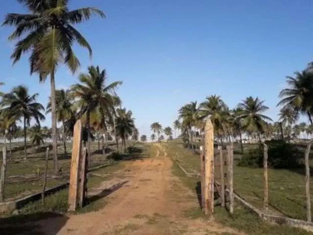 Terreno venda em São Francisco do Conde