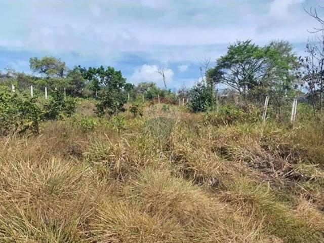 Terreno venda em Região Imediata de Araraquara, Tabatinga
