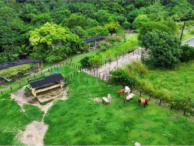 Terreno venda em Região Geográfica Imediata de João Pessoa, Região Metropolitana de João Pessoa