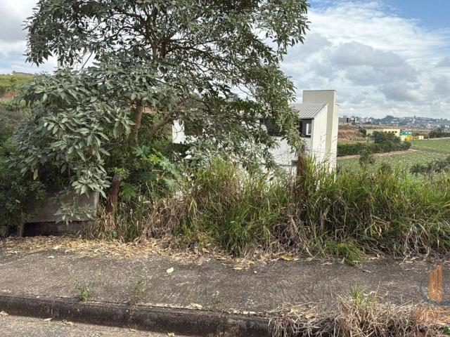 Terreno venda em Conselheiro Lafaiete, Região Geográfica Intermediária de Juiz de Fora