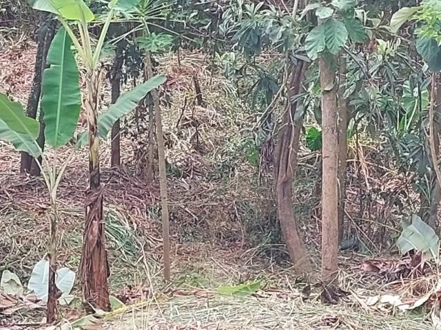 Terreno venda em Região Geográfica Imediata de Belo Horizonte, Região Metropolitana de Belo Horizonte