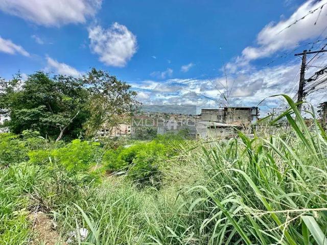 Terreno venda em Região Geográfica Imediata de Belo Horizonte, Região Metropolitana de Belo Horizonte