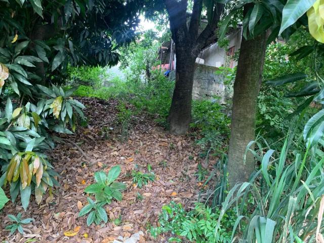 Terreno venda em Região Geográfica Imediata de Belo Horizonte, Região Metropolitana de Belo Horizonte