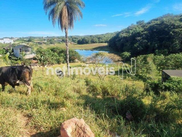 Terreno venda em Região Geográfica Imediata de Belo Horizonte, Região Metropolitana de Belo Horizonte