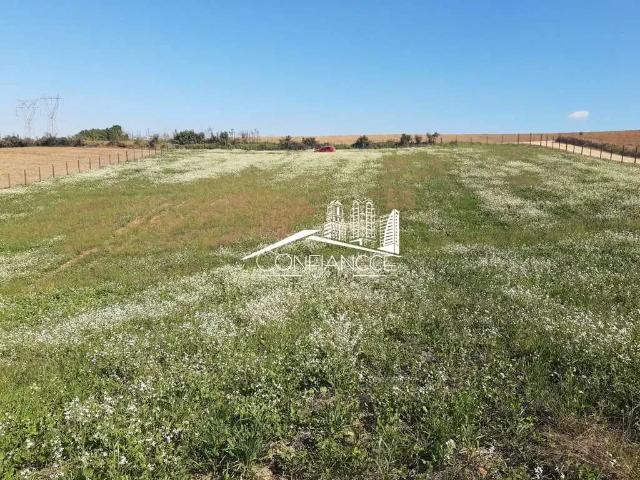 Terreno venda em Região Geográfica Imediata de Campo Grande, Campo Grande