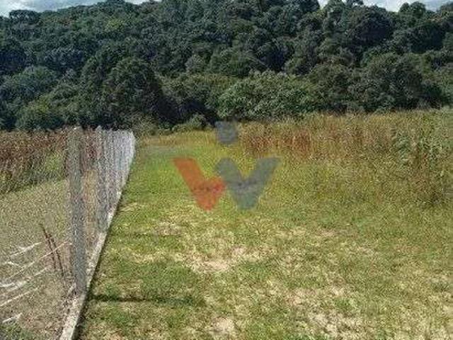 Terreno venda em Contenda, Região Geográfica Intermediária de Curitiba