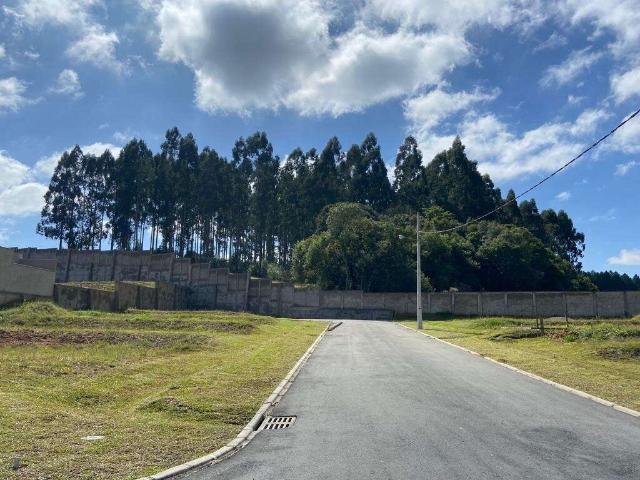 Terreno venda em Região Geográfica Imediata de Francisco Beltrão, Francisco Beltrão