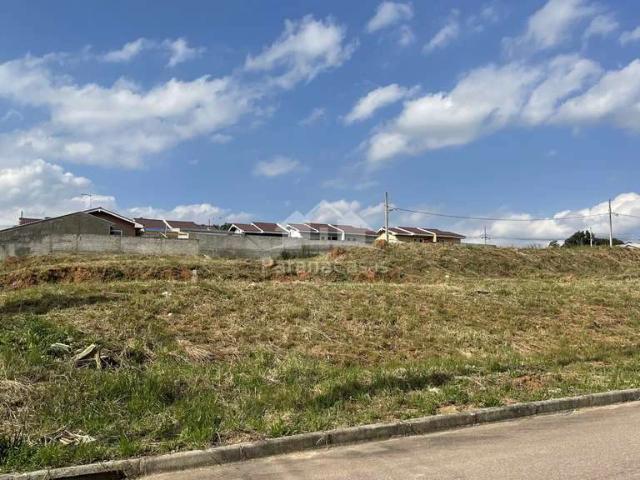 Terreno venda em Contenda, Região Geográfica Intermediária de Curitiba