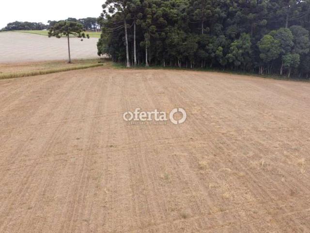 Terreno venda em Contenda, Região Geográfica Intermediária de Curitiba