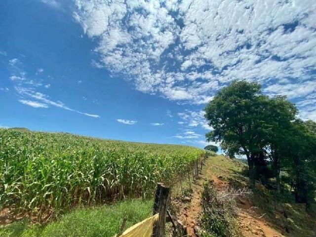 Terreno venda em Região Geográfica Imediata de Chapecó, Coronel Freitas