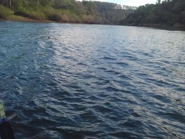 Terreno venda em Região Geográfica Imediata de Chapecó, Coronel Freitas