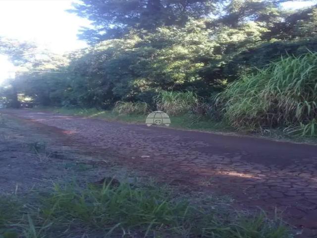 Terreno venda em Região Geográfica Imediata de Pato Branco, Coronel Vivida