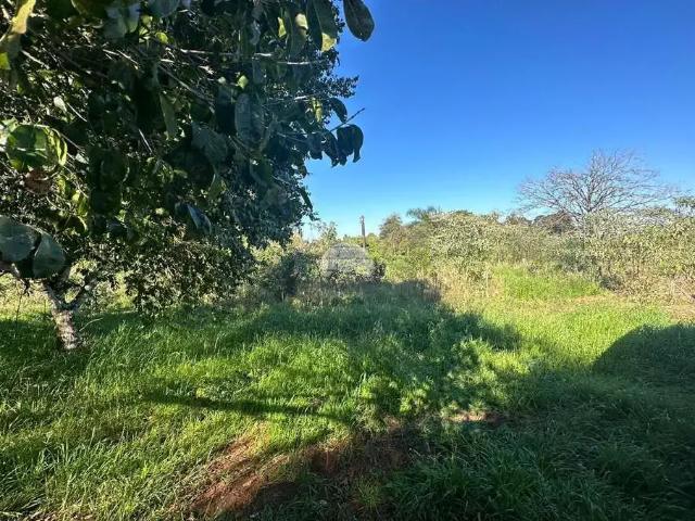 Terreno venda em Região Geográfica Imediata de Pato Branco, Coronel Vivida
