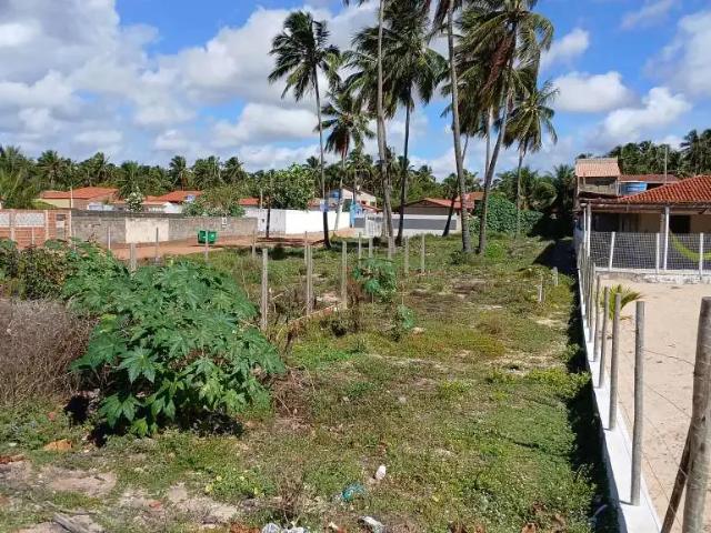 Terreno venda em Região Geográfica Imediata de Penedo, Coruripe