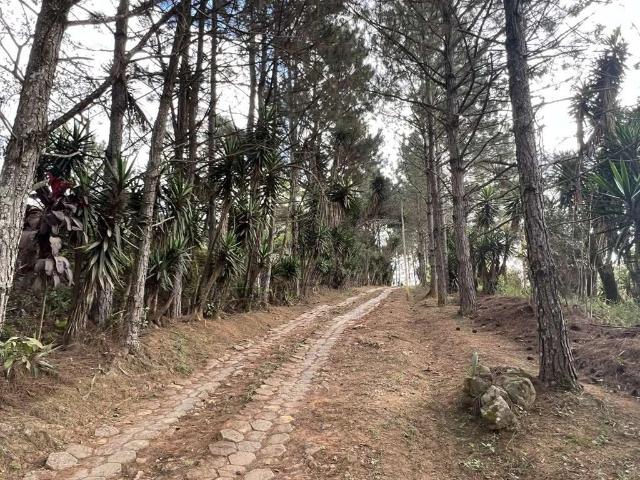 Terreno venda em Cotia