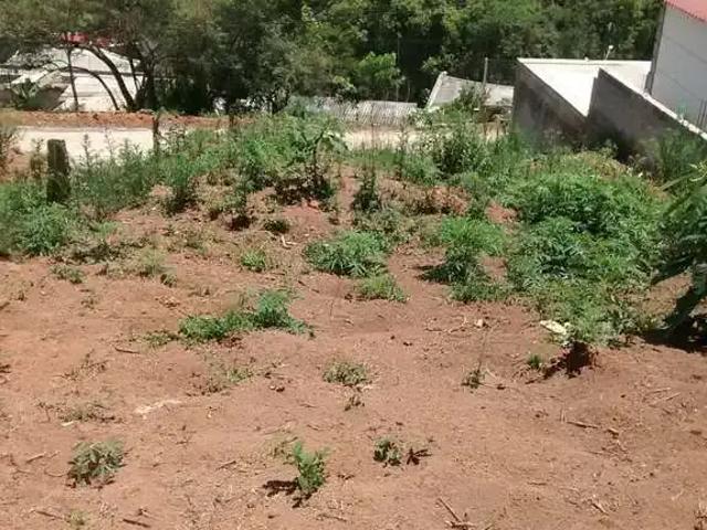 Terreno venda em Região Imediata de São Paulo, Região Metropolitana de São Paulo