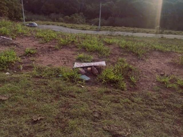 Terreno venda em Parque Rizzo II, Cotia
