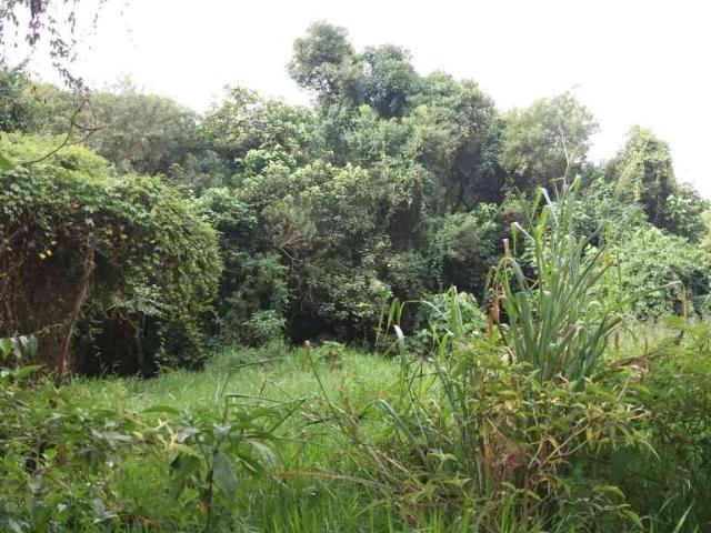 Terreno venda em Região Imediata de São Paulo, Região Metropolitana de São Paulo