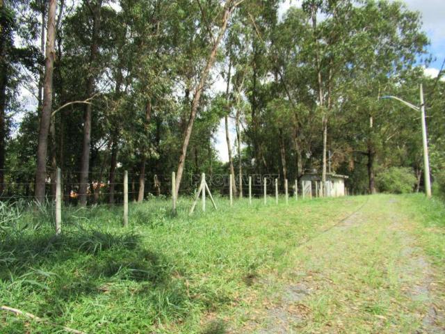 Terreno venda em Cotia