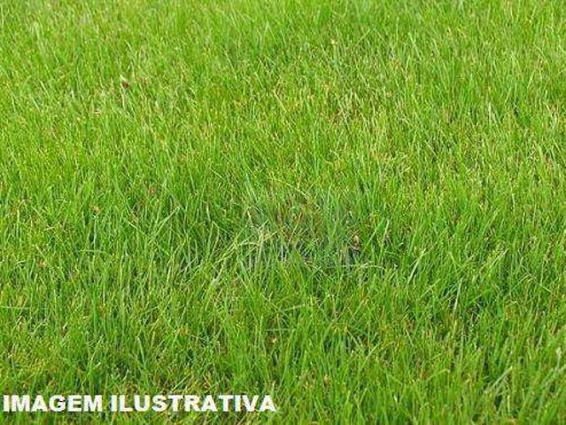 Terreno venda em Jardim Lambreta, Cotia
