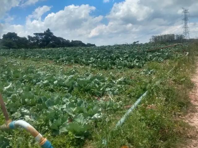 Terreno venda em Região Imediata de São Paulo, Região Metropolitana de São Paulo